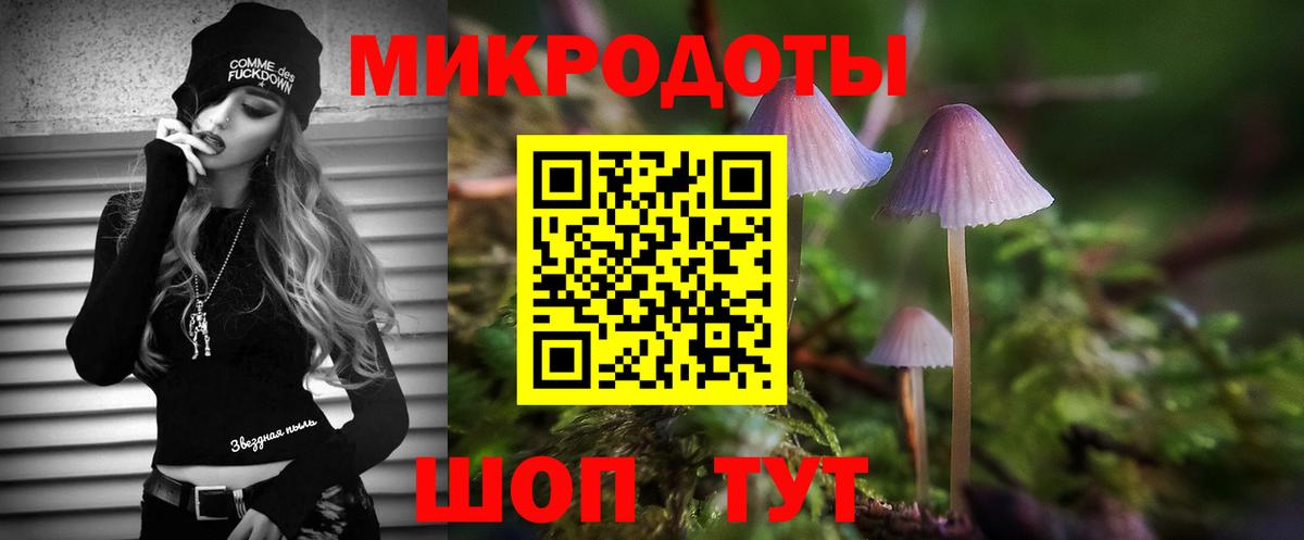 Химки  Псилоцибиновые грибы GOLDEN TEACHER  Вход с VPN 